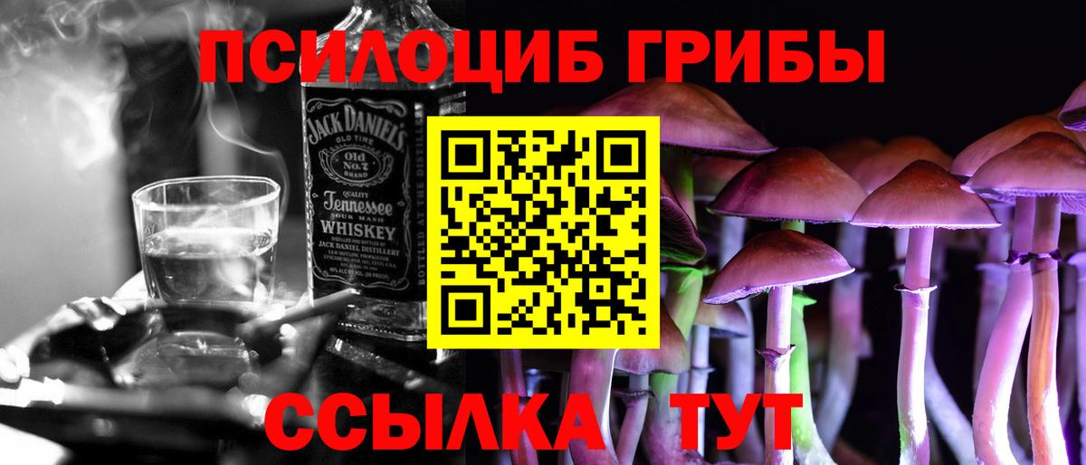 Курчалой  хочу наркоту  Вход с VPN  Галлюциногенные грибы GOLDEN TEACHER 