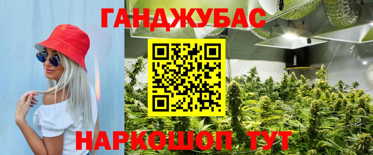 Курчалой  Каннабис марихуана  Бошки Шишки индика  Вход с VPN  Шишки марихуана ГИДРОПОН 